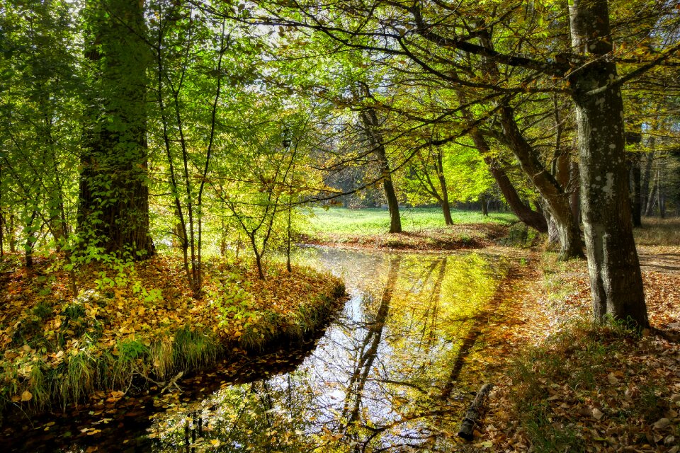 Nature landscape creek