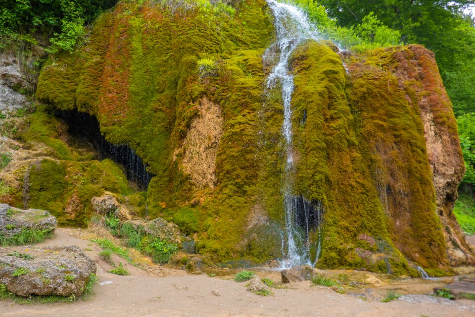 Landscape moist nature