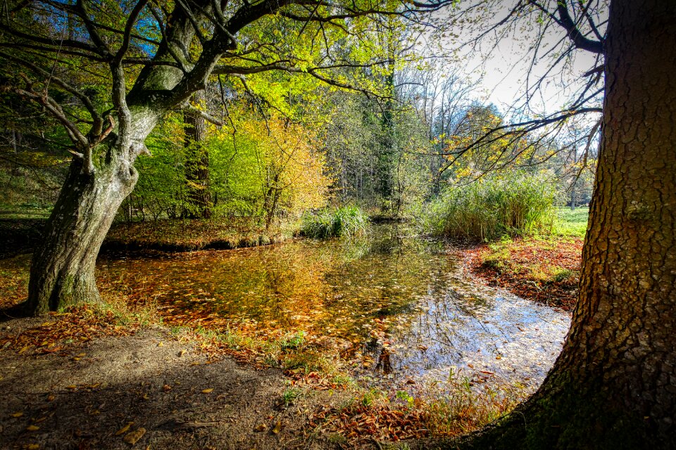 Nature landscape creek