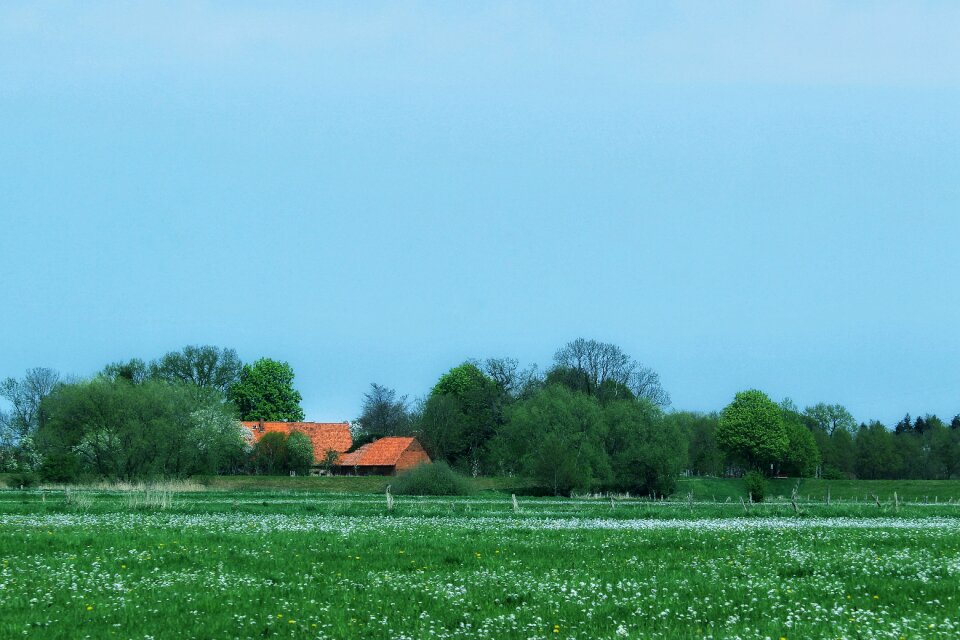 Nature landscape meadow