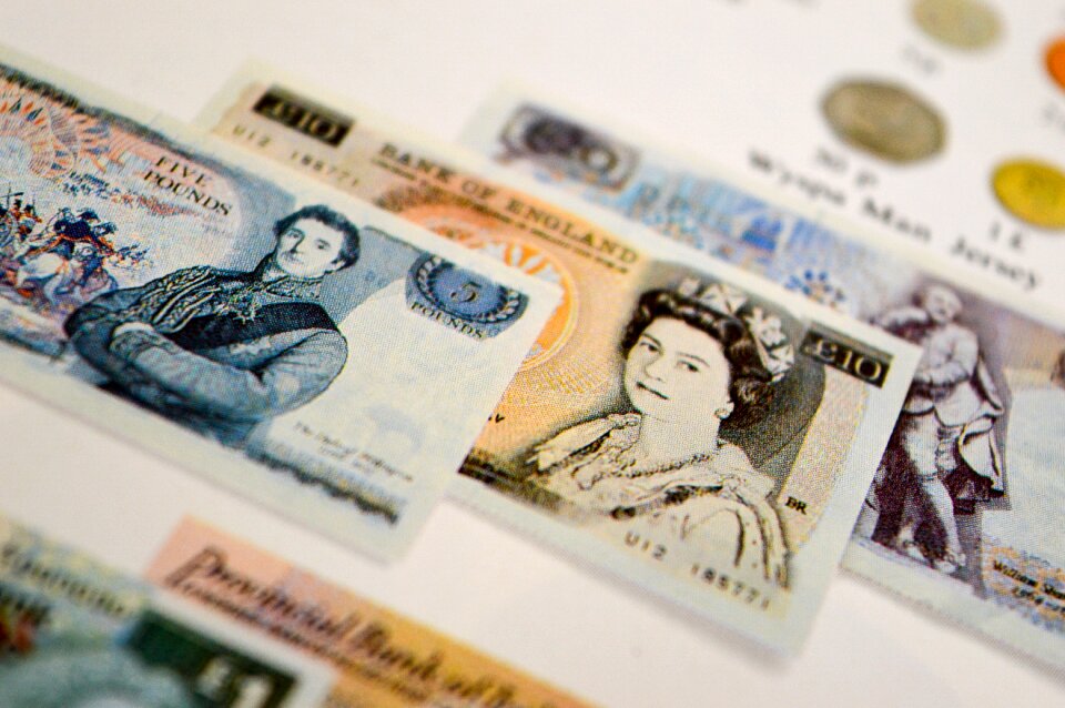 The greenback currency book