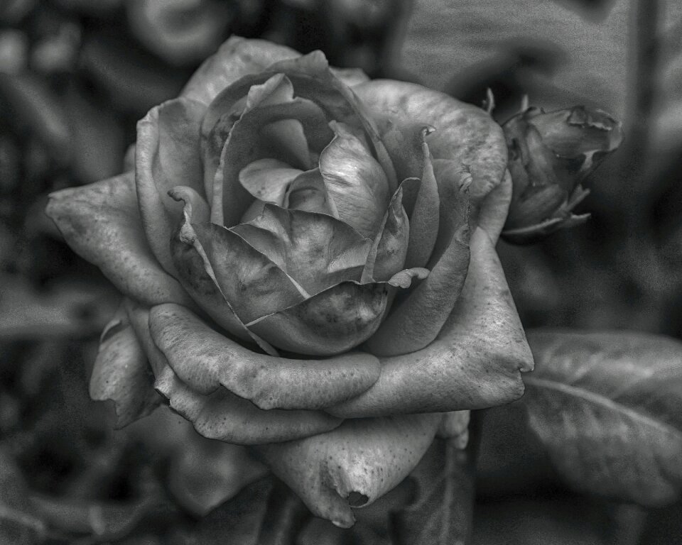 Black old structure