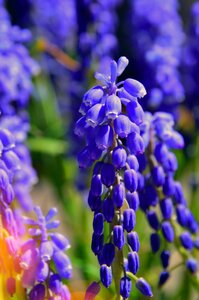 Outdoors summer garden