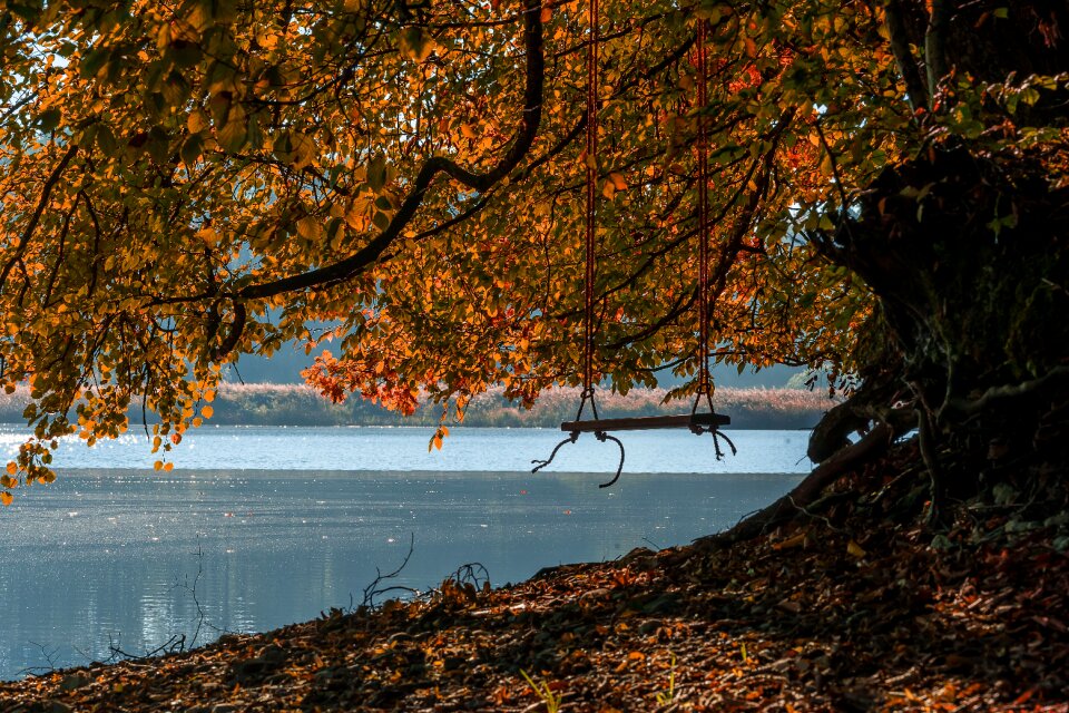 Lake waters autumn