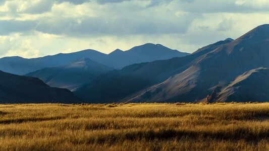 Farm grass ladakh