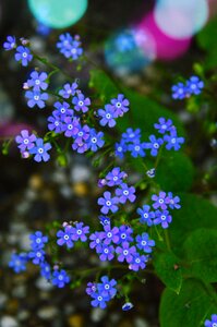 Outdoors summer garden