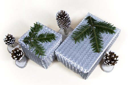 Silver tannenzweig deco