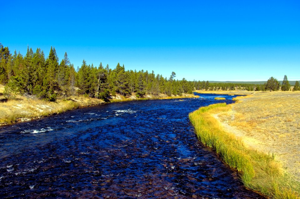 Wyoming yellowstone national photo