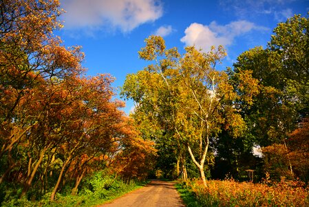 Autumn colors outdoors mood