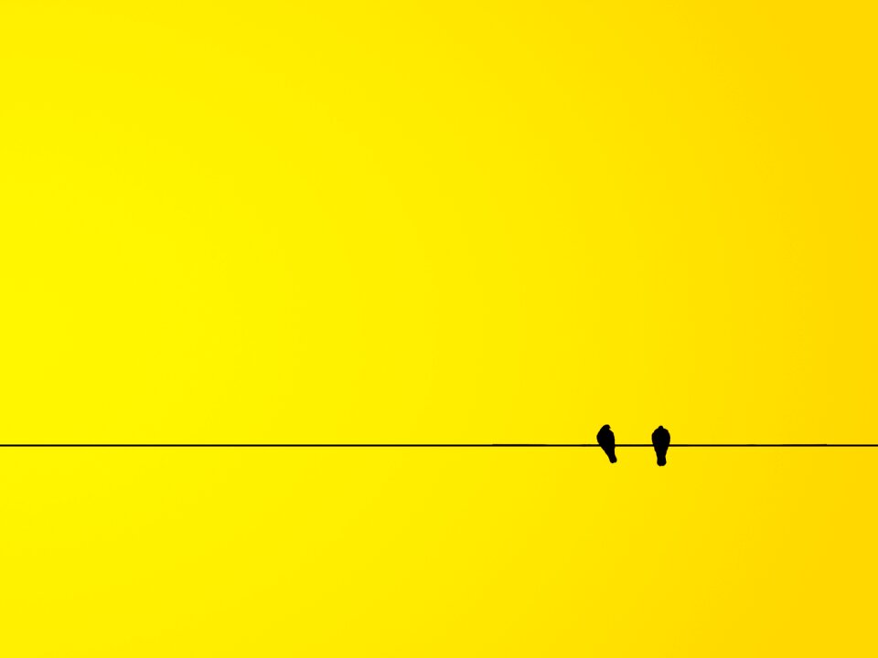 Yellow the background banner