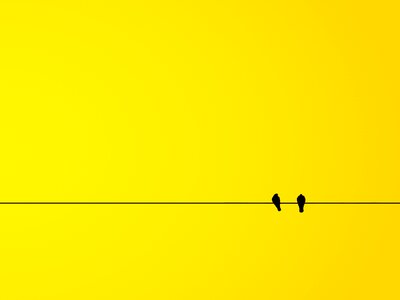Yellow the background banner