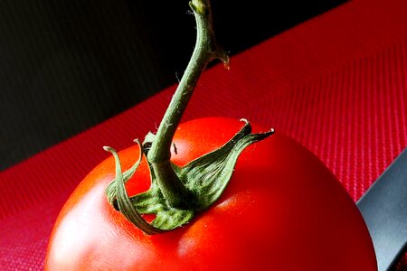 Healthy tomatoes fresh