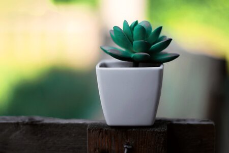 Decoration decorative flowerpots photo