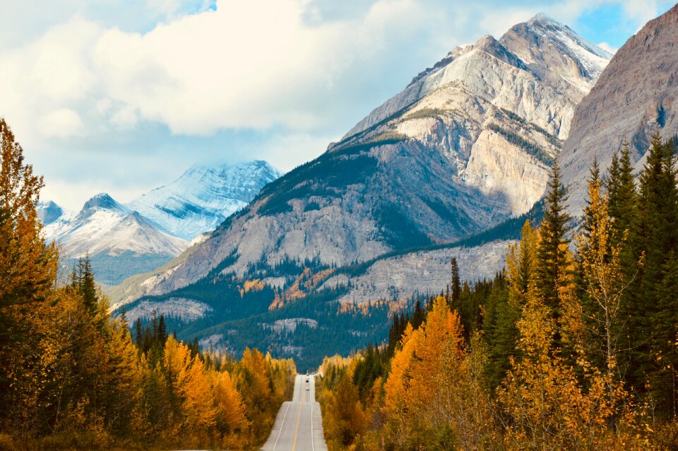 Ice field parkway wilderness mountains