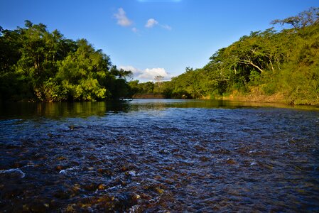 Tree's flow peaceful photo