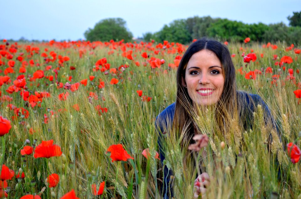 Poppies salento wheat
