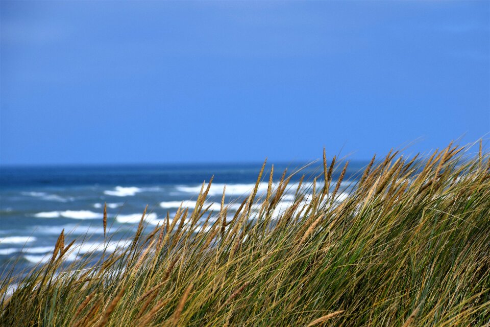 Beach sky nature photo