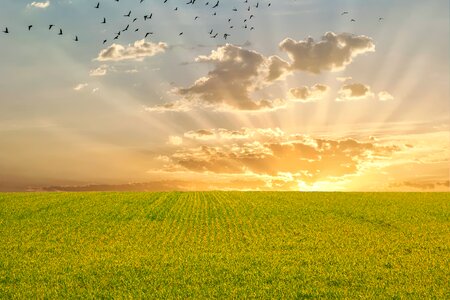 Nature sky clouds photo