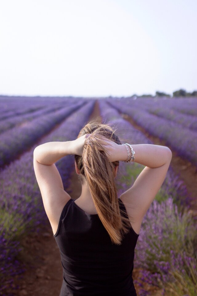 Nature plant field