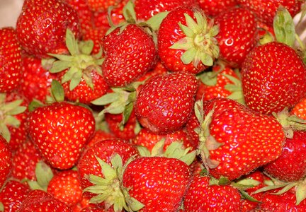 Red season food