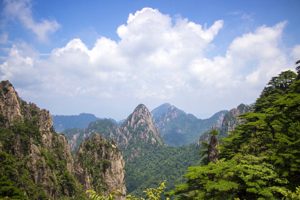 On the west coast bright top china