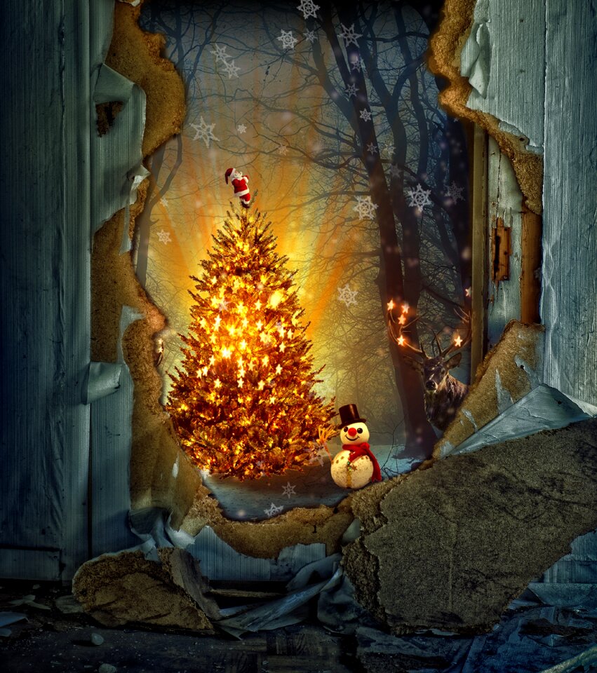 Christmas tree christmas motif christmas time