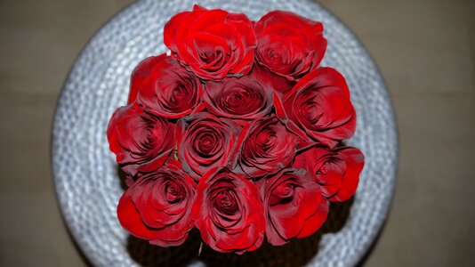 Romantic floral flower