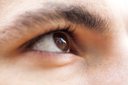 Browse eyelash male