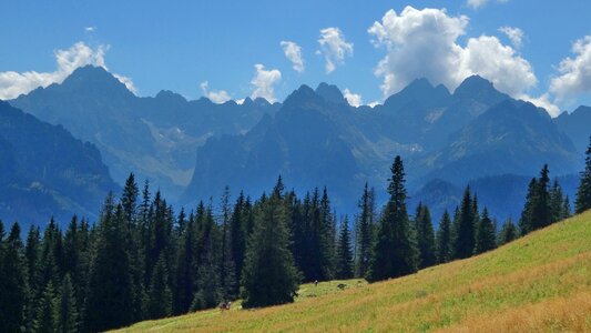 Tops the high tatras landscape
