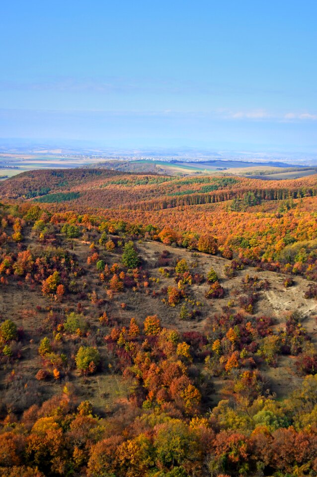 Autumn nature horizon