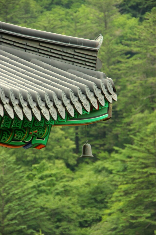 Temple buddhism section