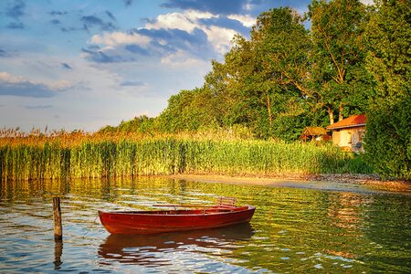 Nature water trees photo