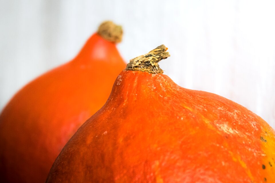 Autumn orange vegetarian