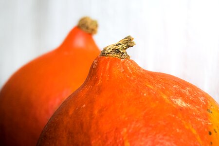 Autumn orange vegetarian photo