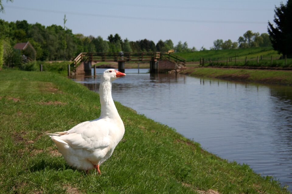 Netherlands water landscape