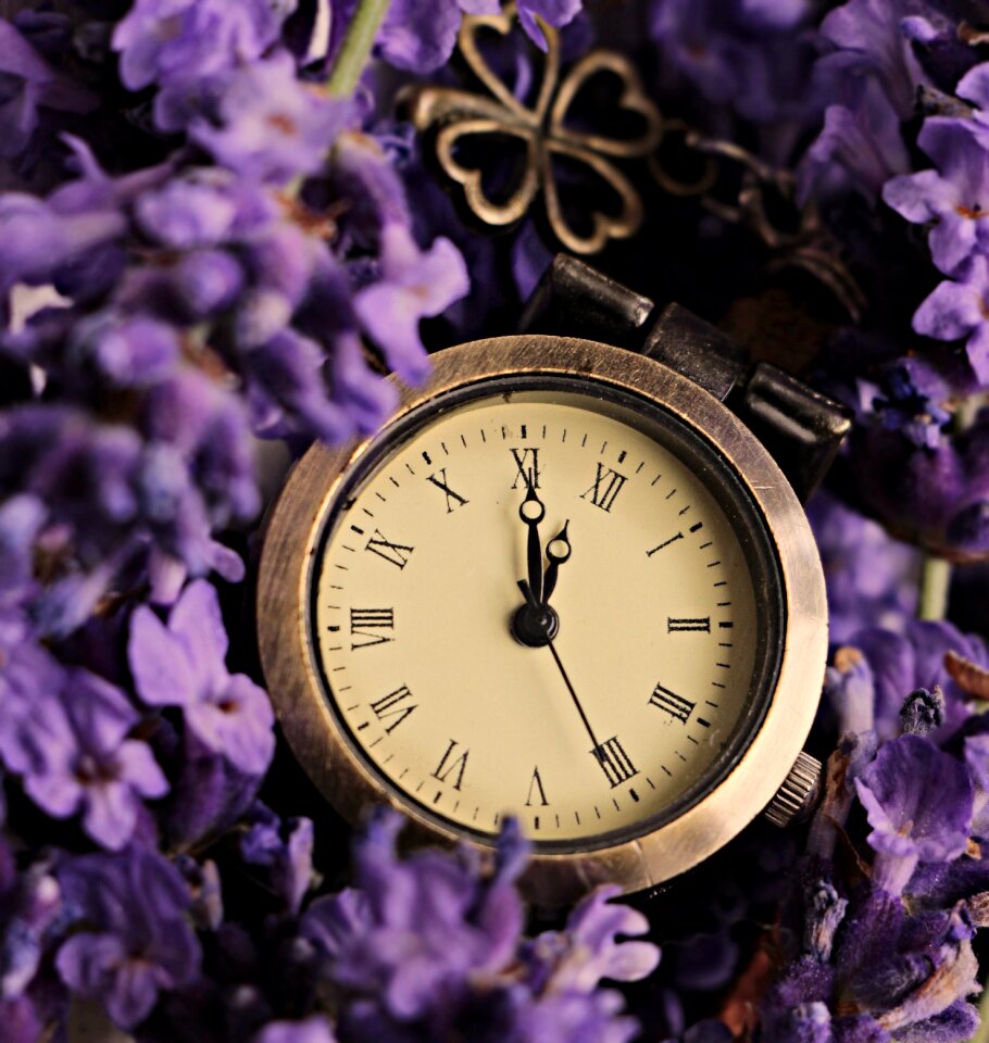 The eleventh hour 5 vor 12 flowers