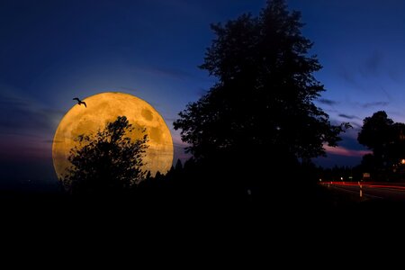 Night sky moonlight photo