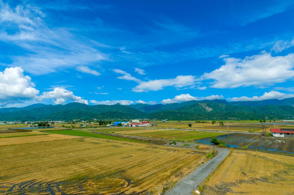 In rural areas travel in rice field