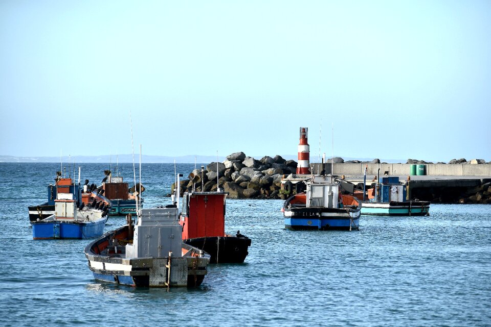 South africa struisbay blue fishing