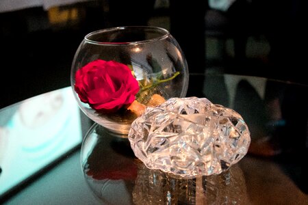 Drink coffee dinner
