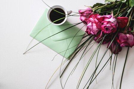 Empty leaf roses