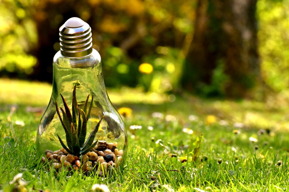 Energy nature conservation environment