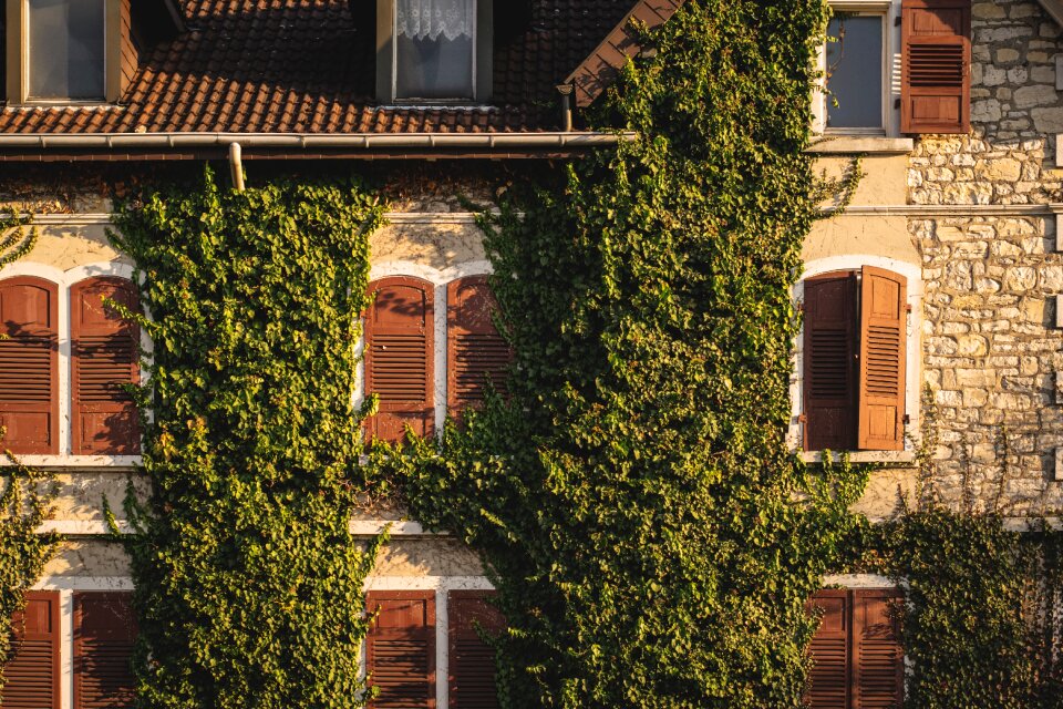 Building structure house facade