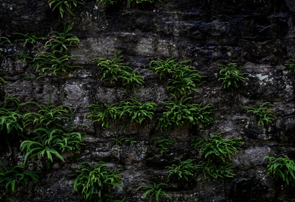 Pattern structure stone