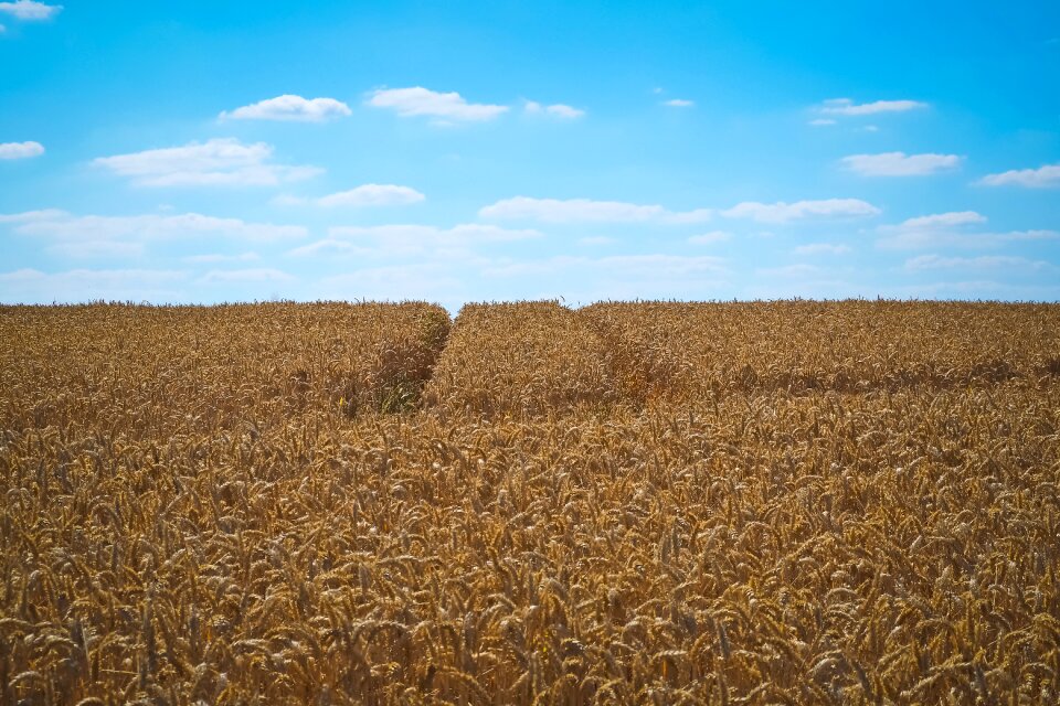 Harvest nature agriculture