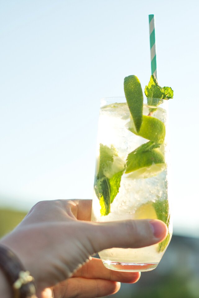 Mint water food