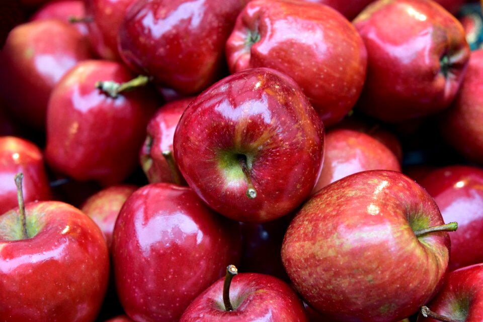 Red food delicious