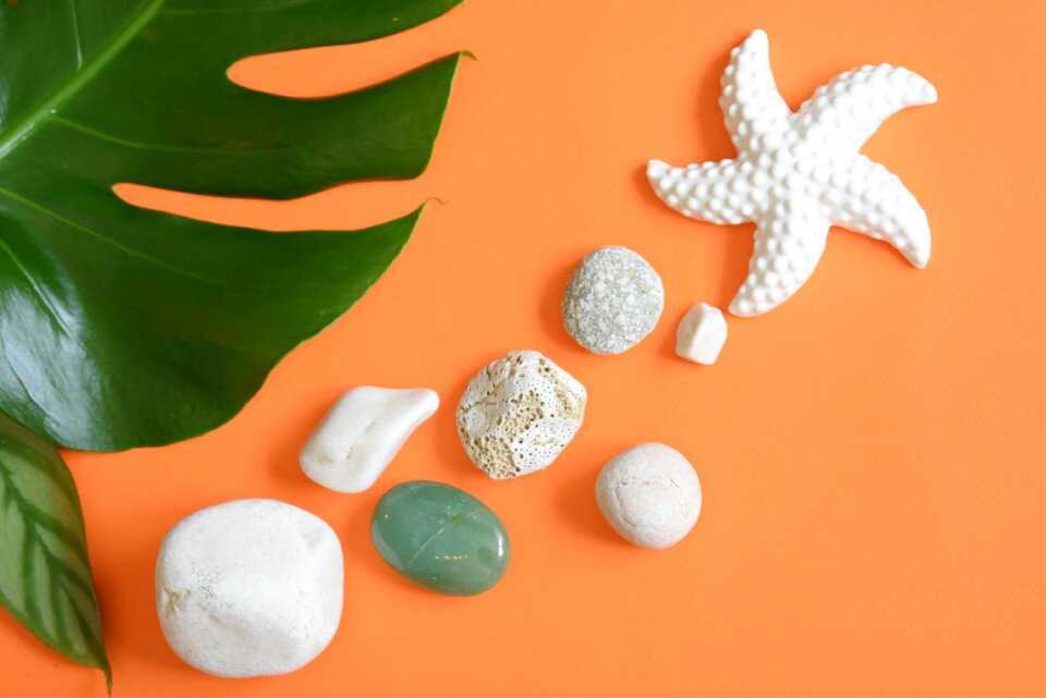 Summer design flatlay