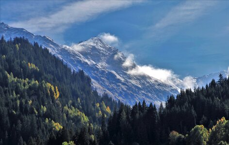 Forest landscape switzerland