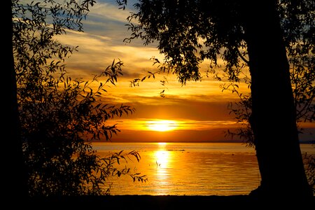 Sunset lake constance romantic photo